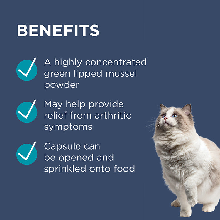 PAW Osteosupport Joint Care Capsules for Cats 60 Pack