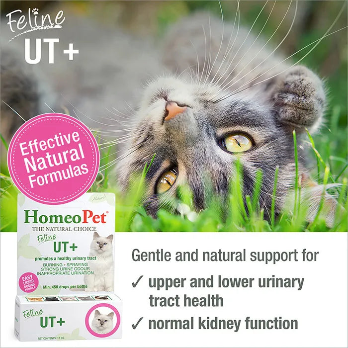 Homeopet Feline UT+ Cat Pet Drops 15 ml