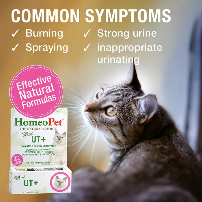 Homeopet Feline UT+ Cat Pet Drops 15 ml