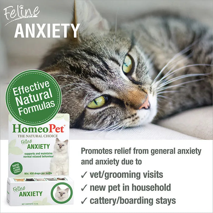 Homeopet Feline Anxiety Cat Pet Drops 15ml