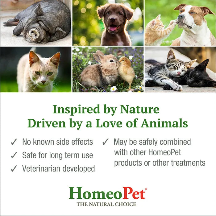 Homeopet Feline Anxiety Cat Pet Drops 15ml