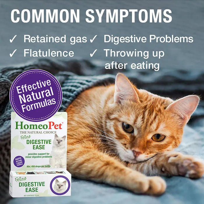 Homeopet Feline Digestive Cat Pet Drops 15ml