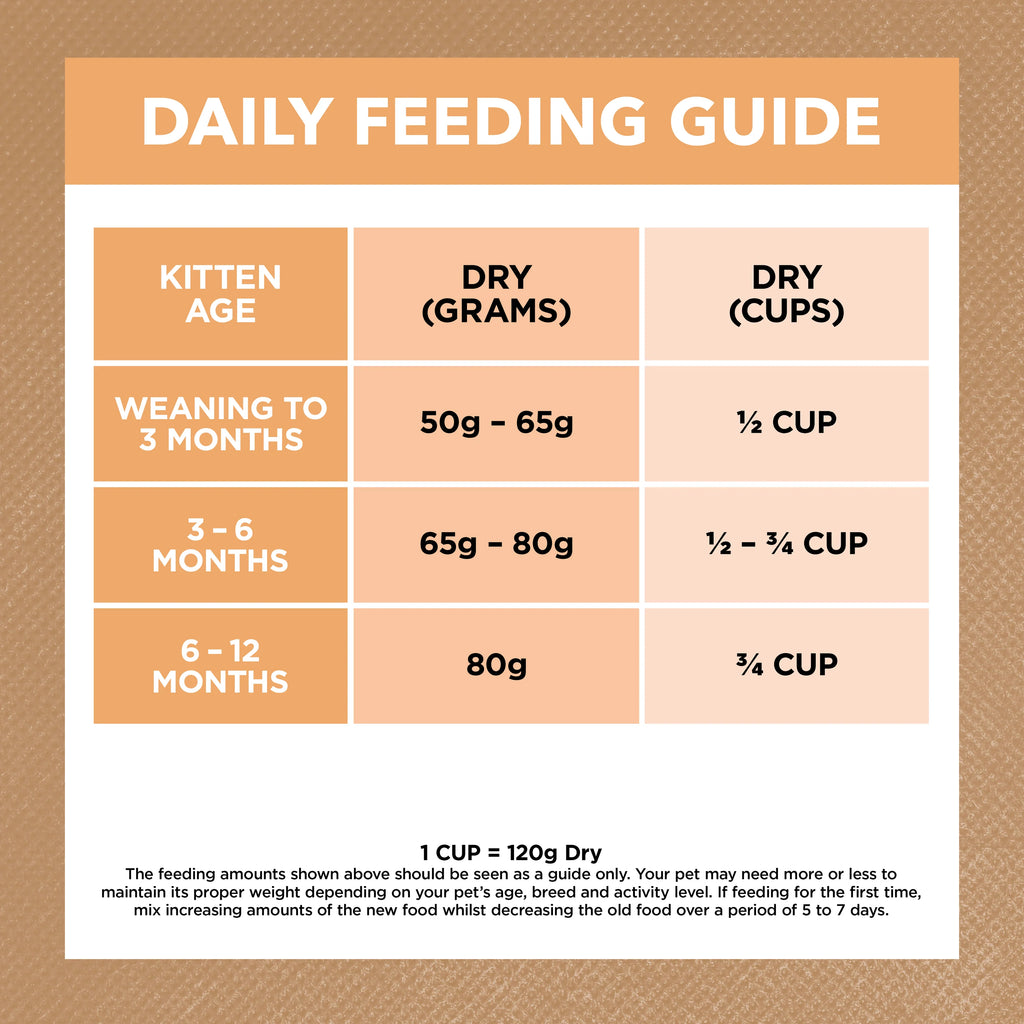 Ivory Coat Chicken Kitten Dry Cat Food