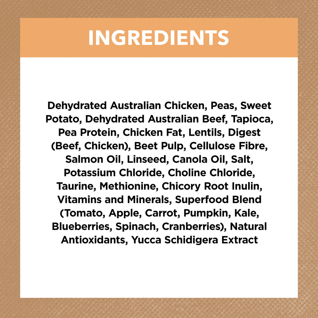 Ivory Coat Chicken Kitten Dry Cat Food