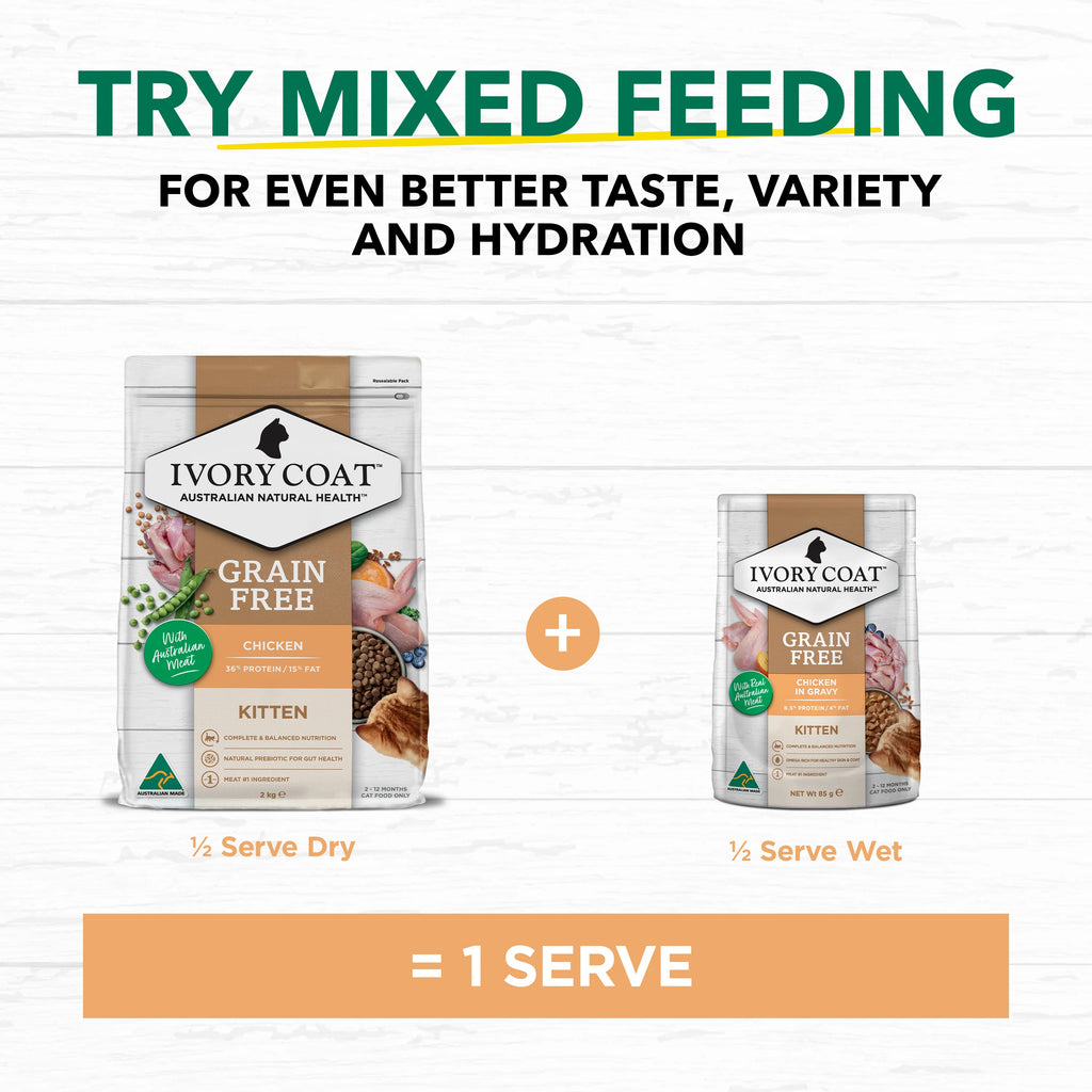 Ivory Coat Chicken Kitten Dry Cat Food