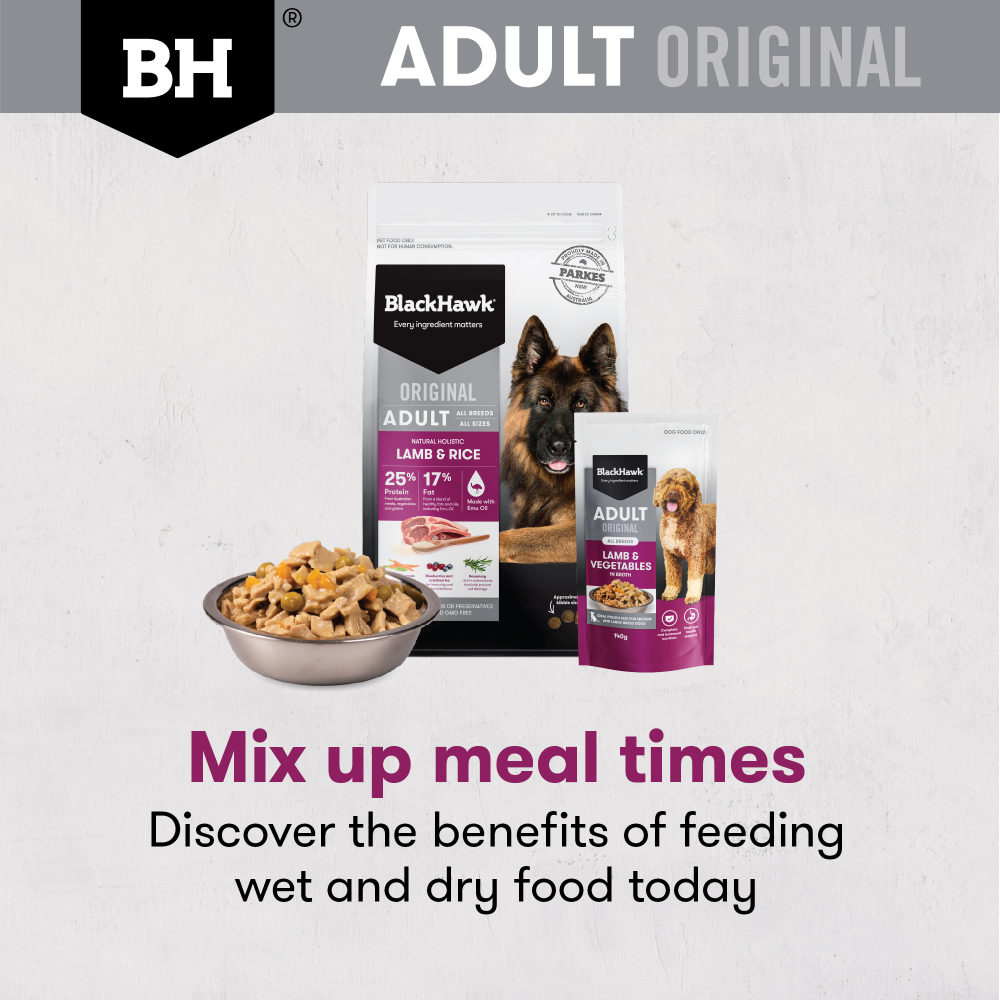 Black Hawk Lamb & Rice Adult Dry Dog Food