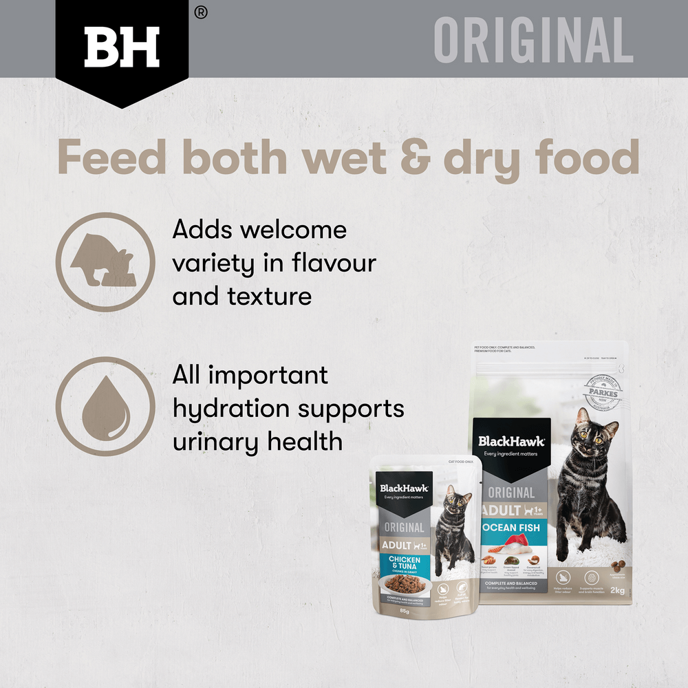 Black Hawk Original Adult Chicken & Tuna in Gravy Wet Cat Food 85g × 12