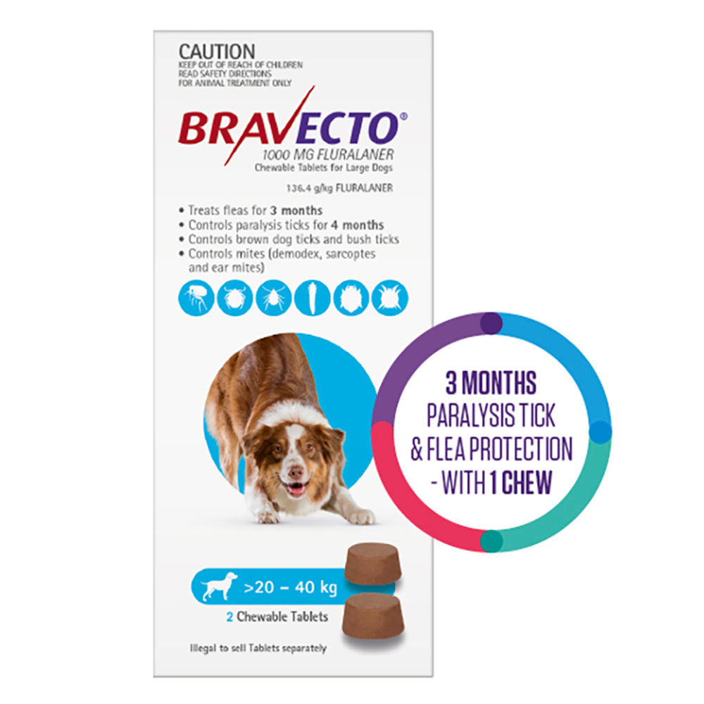 Bravecto Chew for Large Dogs 20-40kg Blue