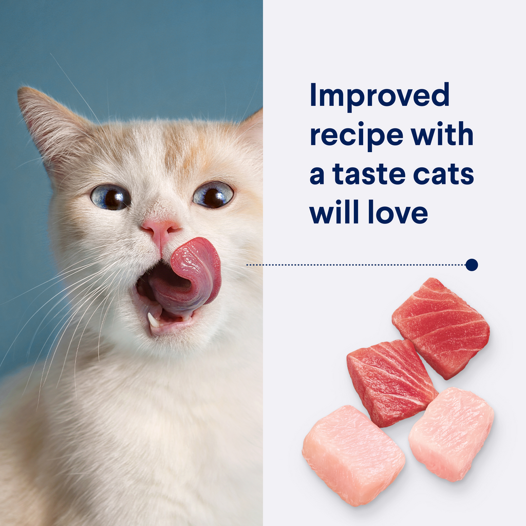 Advance Multi Cat Chicken And Ocean Fish All Lifestages Dry Cat Food