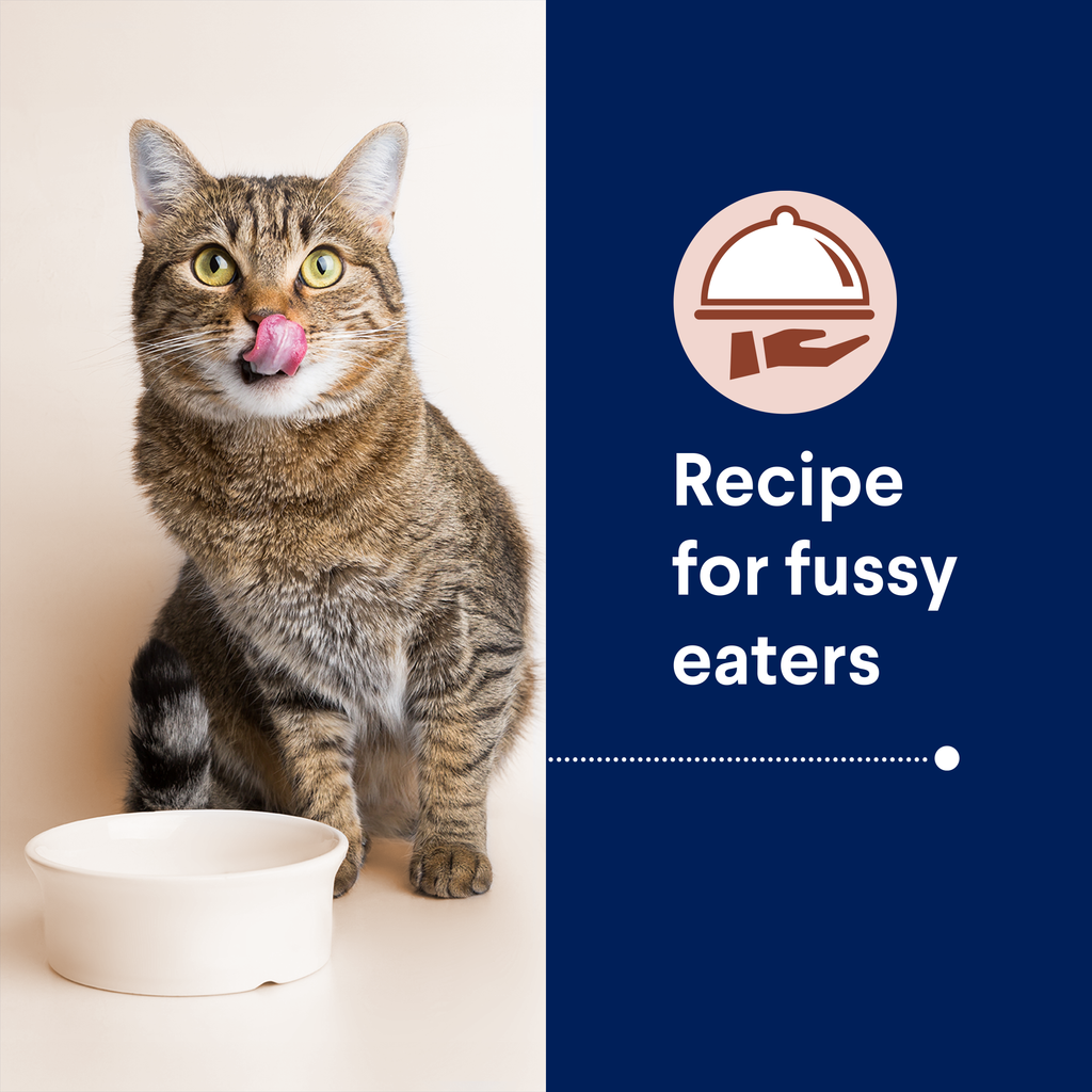 Advance Multi Cat Chicken And Ocean Fish All Lifestages Dry Cat Food