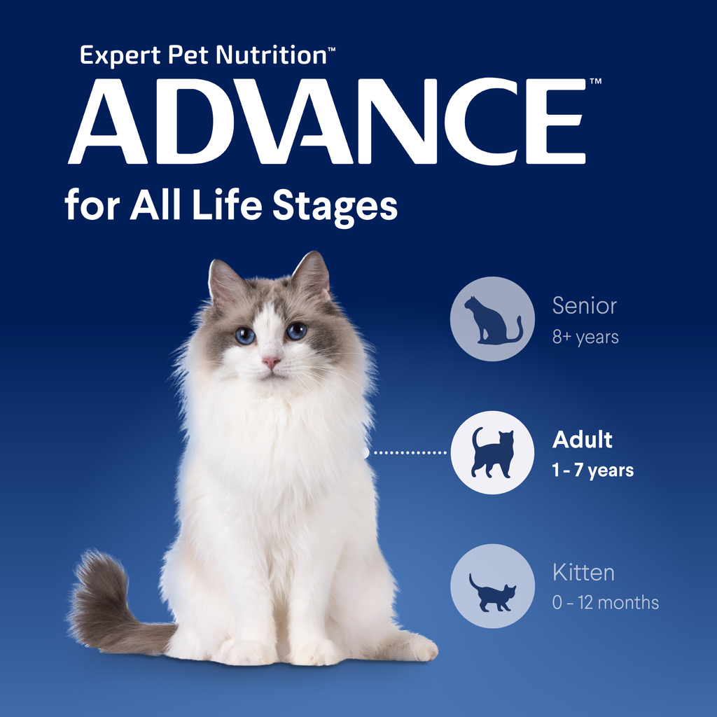 Advance Multi Cat Chicken And Ocean Fish All Lifestages Dry Cat Food