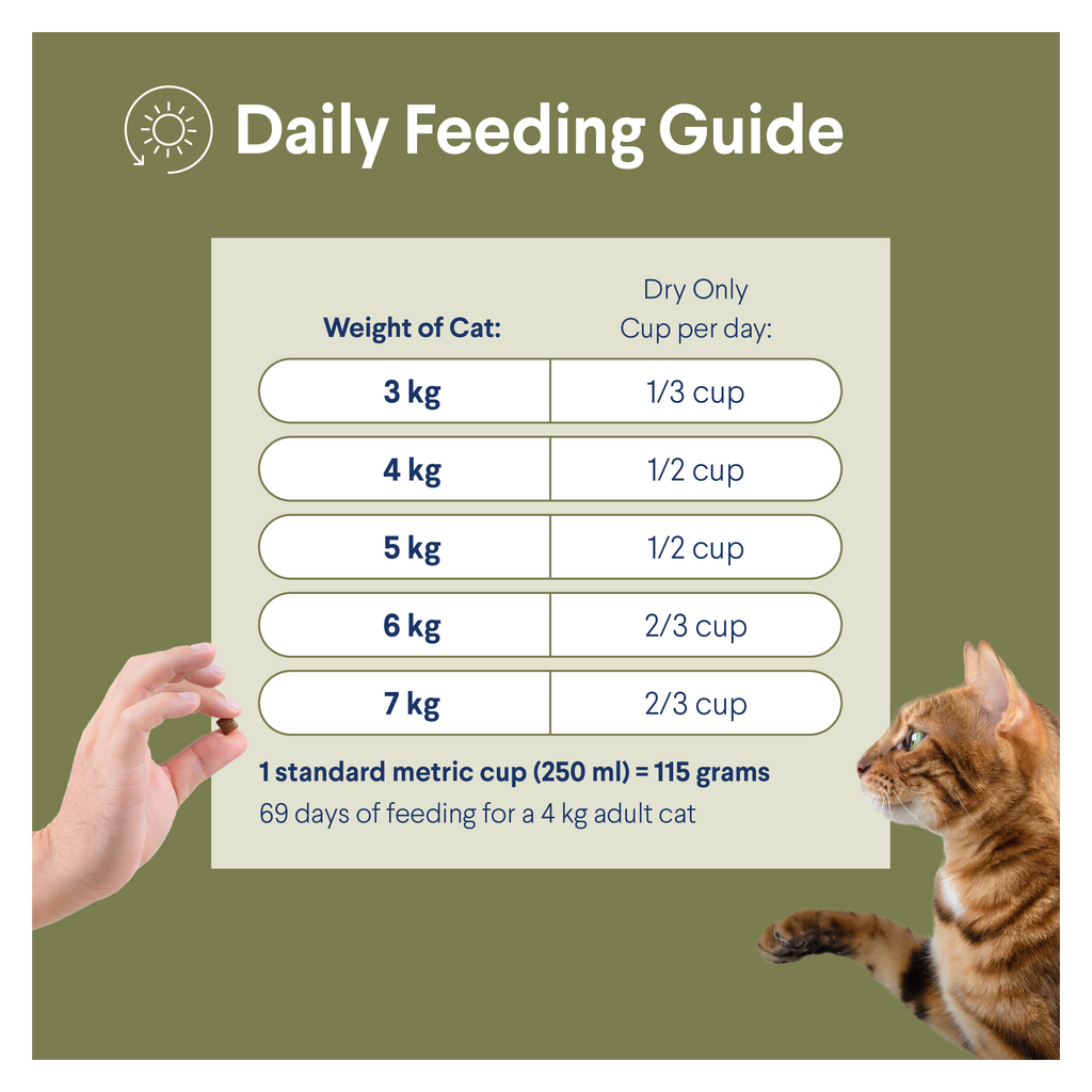 Advance Multi Cat Chicken And Ocean Fish All Lifestages Dry Cat Food