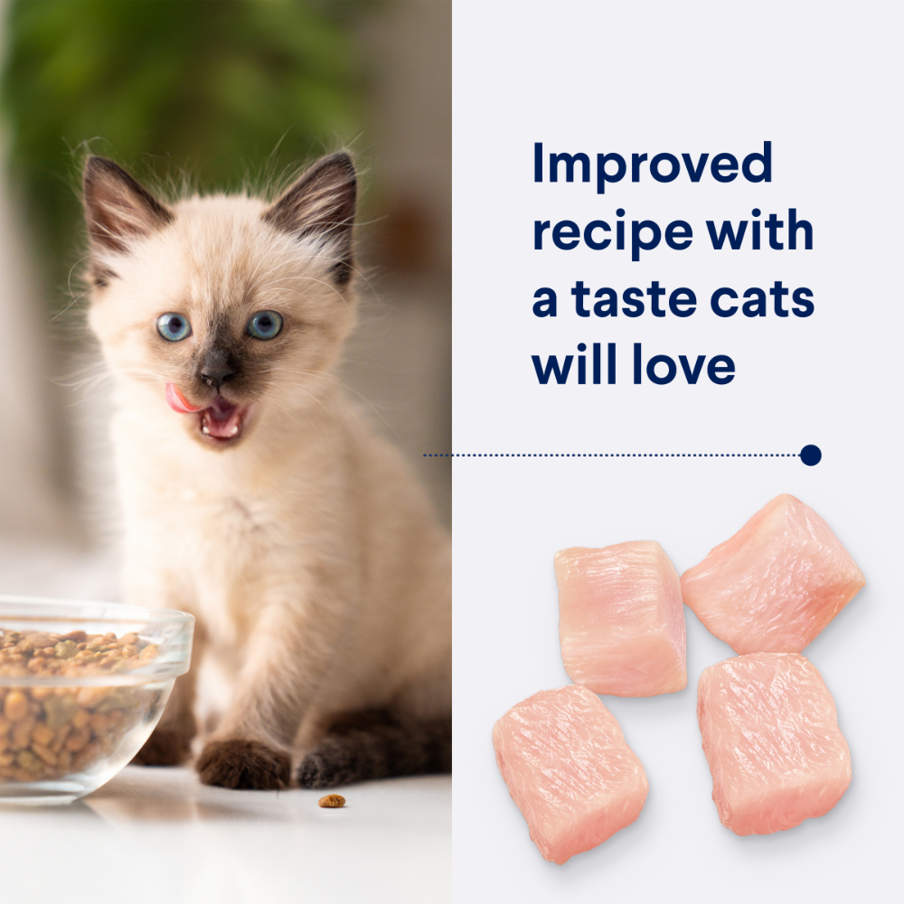 Advance Kitten Chicken Dry Cat Food