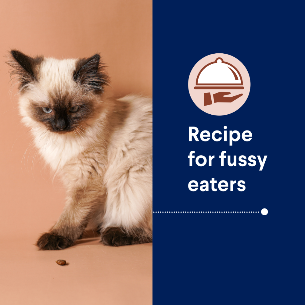 Advance Kitten Chicken Dry Cat Food