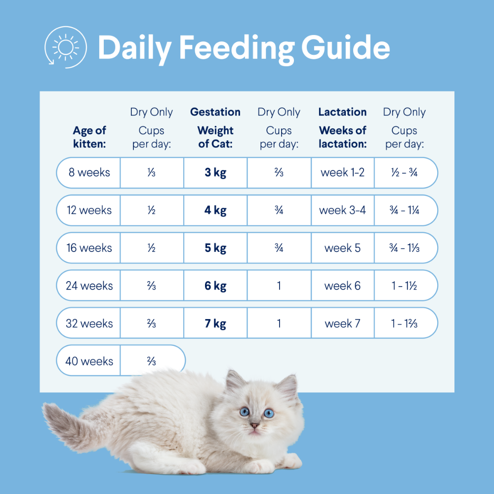 Advance Kitten Chicken Dry Cat Food