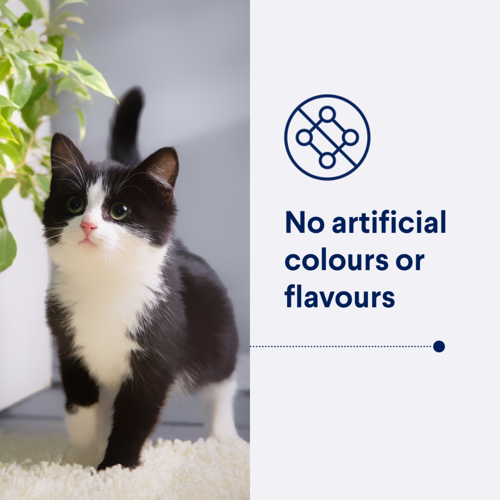 Advance Kitten Chicken Dry Cat Food