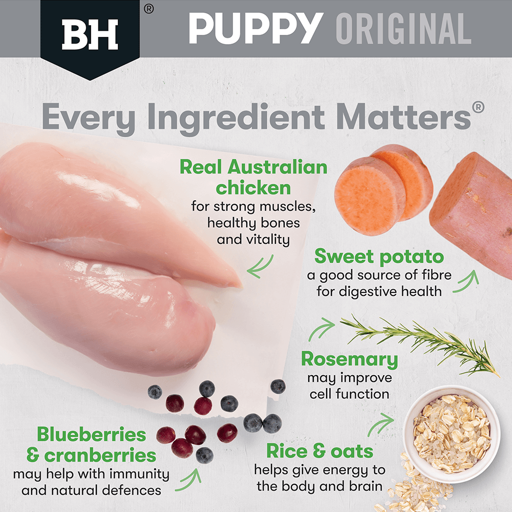 Black Hawk Original Chicken & Rice Medium Breed Puppy Dry Dog Food