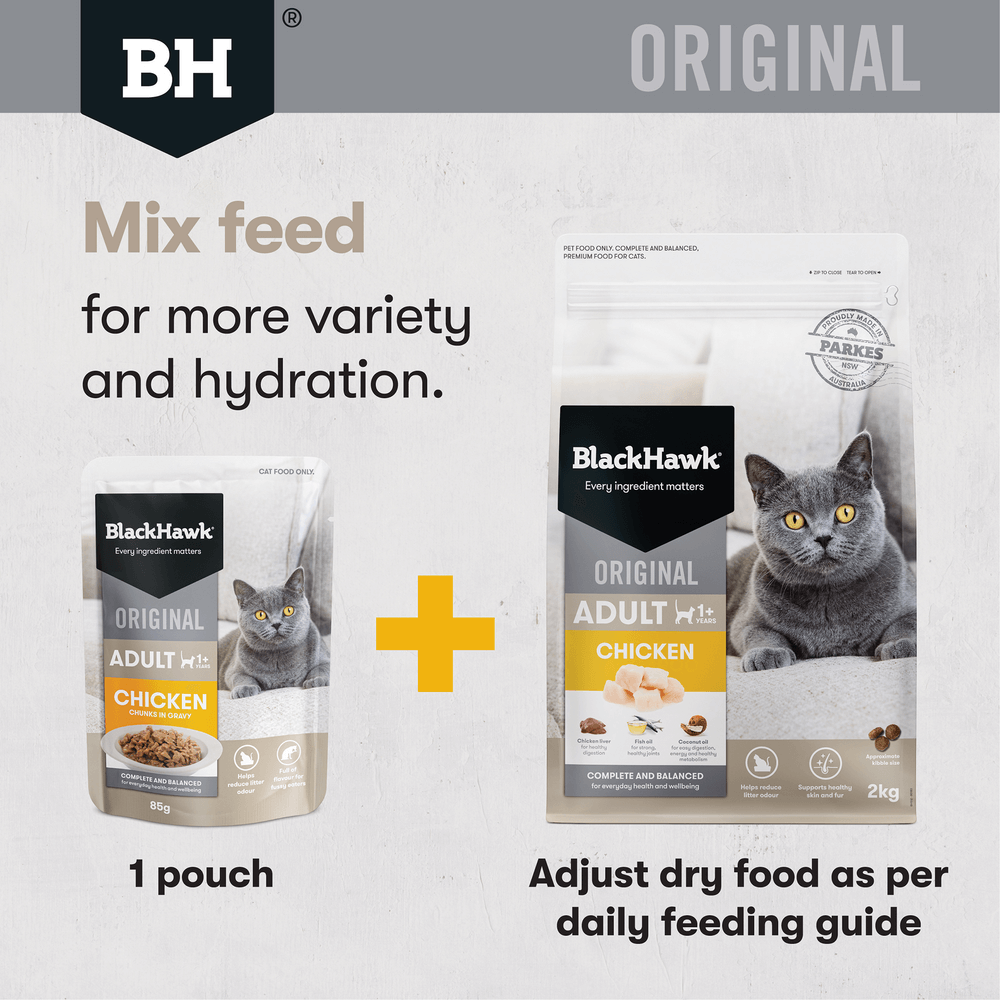 Black Hawk Original Dry Cat Food Adult Chicken