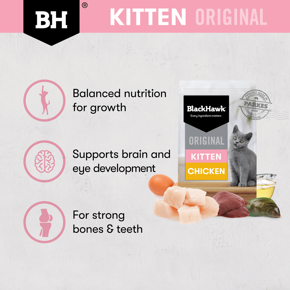 Black Hawk Original Chicken Kitten Dry Cat Food