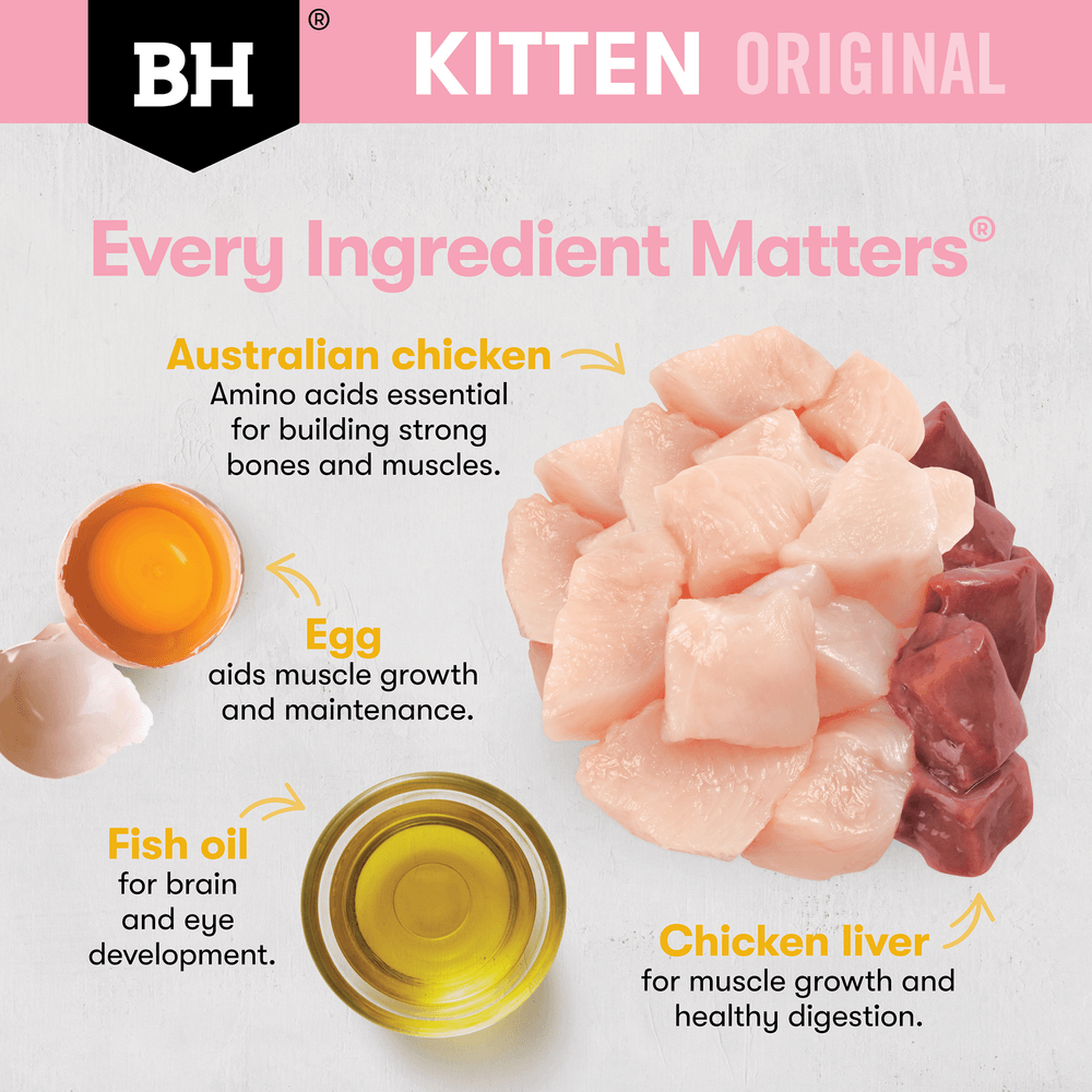 Black Hawk Original Chicken Kitten Dry Cat Food