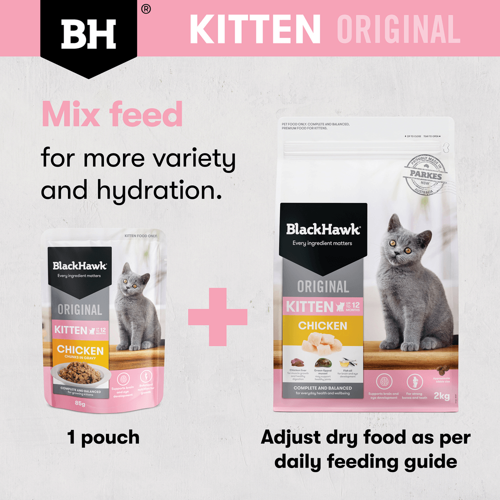 Black Hawk Original Chicken Kitten Dry Cat Food