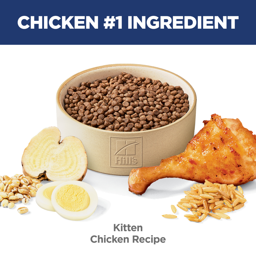 Hills Science Diet Kitten Dry Cat Food