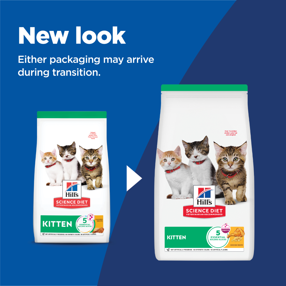 Hills Science Diet Kitten Dry Cat Food