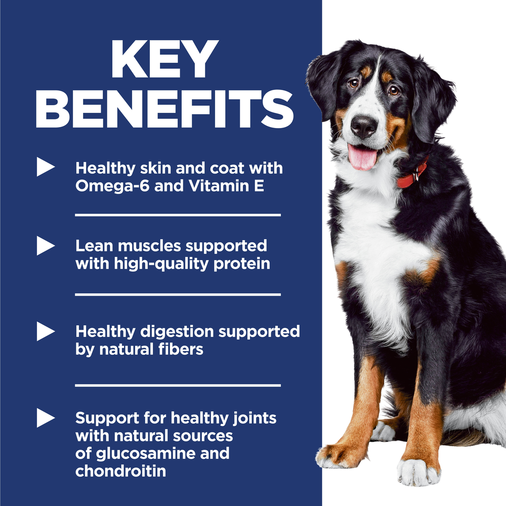 Hills Science Diet Chicken & Barley Large Breed Adult Dry Dog Food