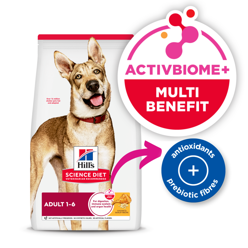 Hills Science Diet Chicken & Barley Recipe Adult Dry Dog Food