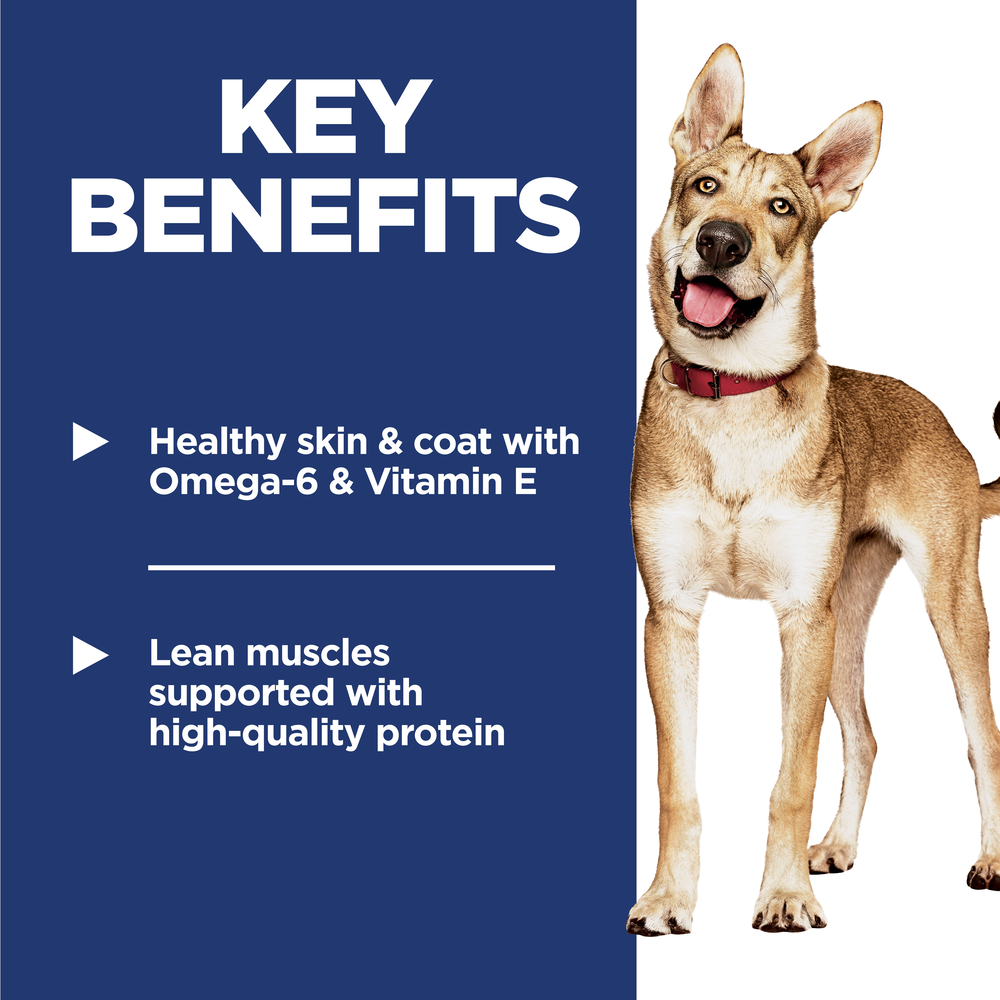 Hills Science Diet Chicken & Barley Recipe Adult Dry Dog Food