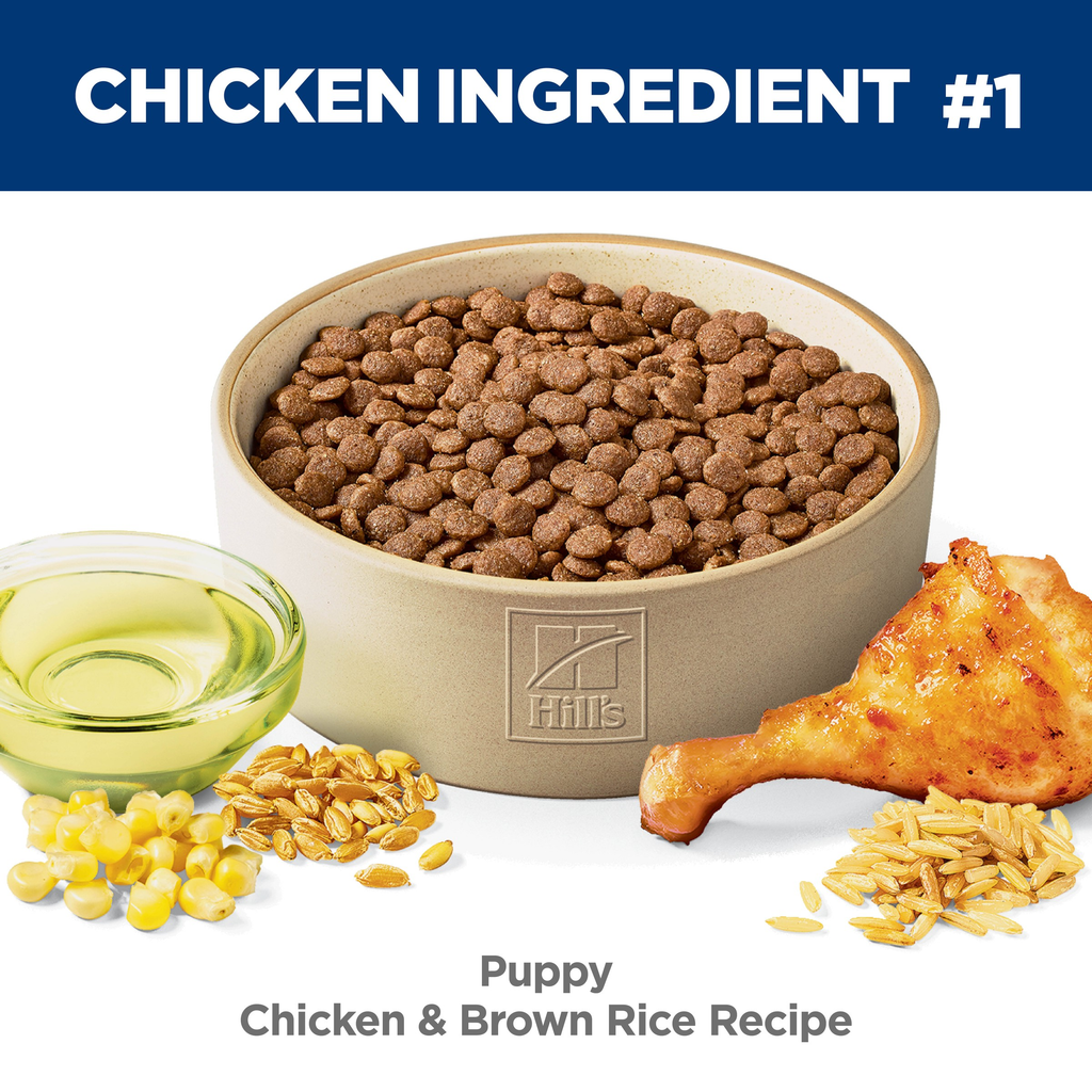 Hills Science Diet Chicken & Brown Rice Puppy Dry Dog Food