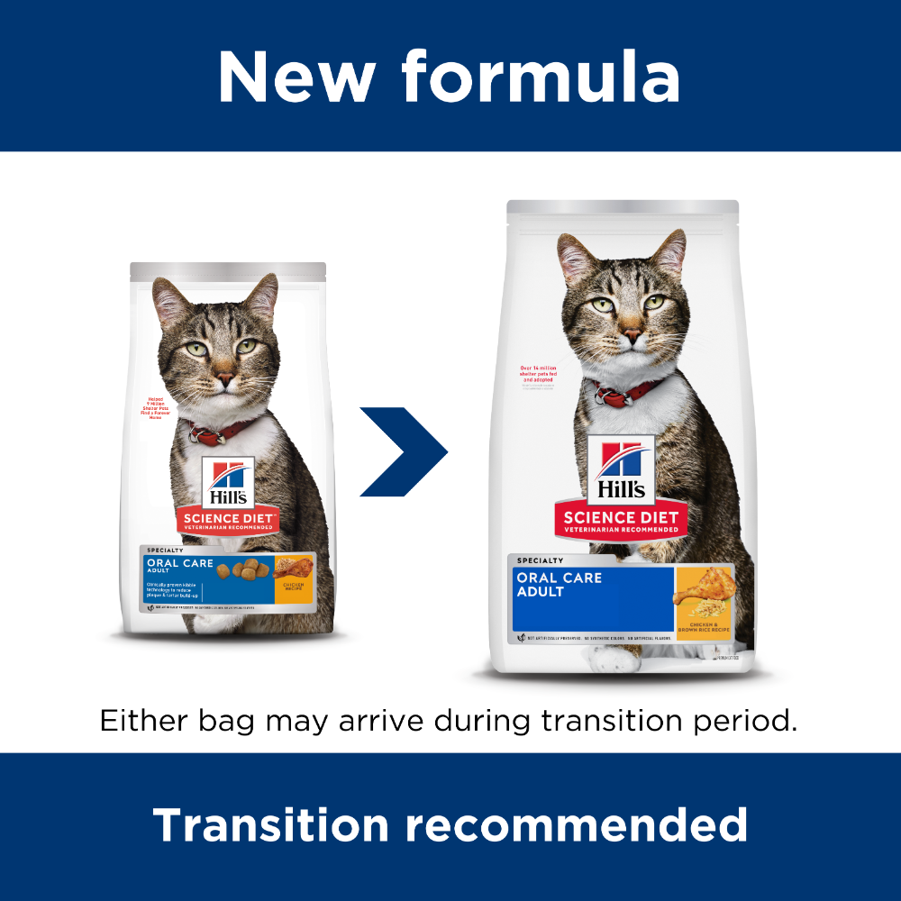 Hills Science Diet Oral Care Adult Dry Cat Food