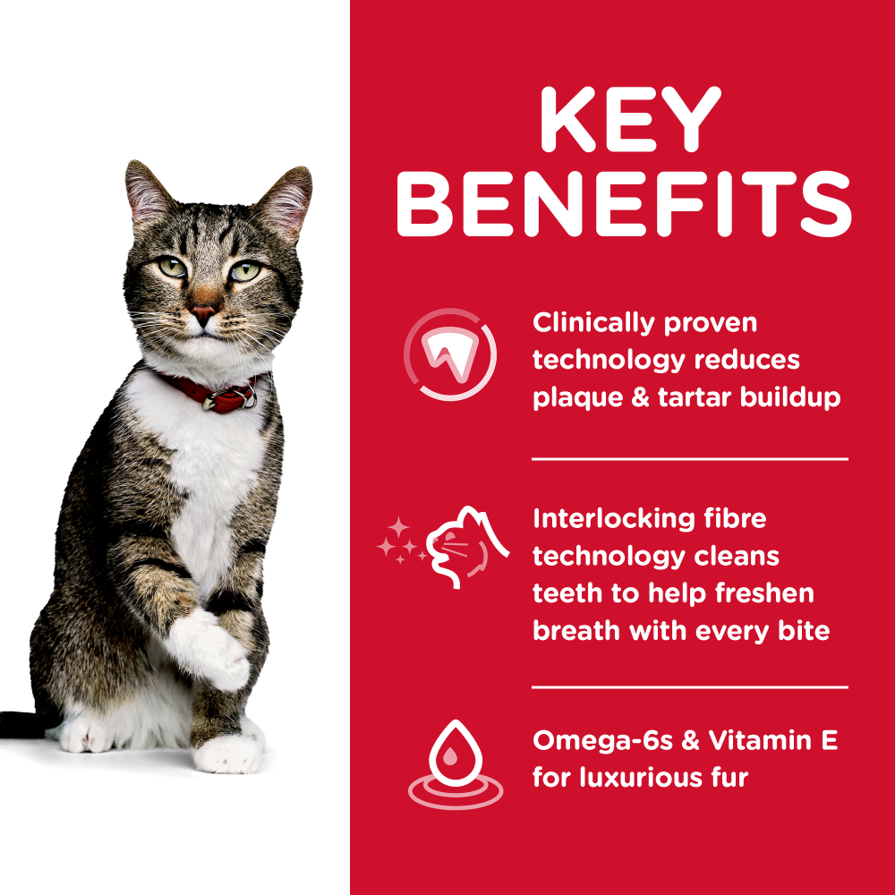 Hills Science Diet Oral Care Adult Dry Cat Food