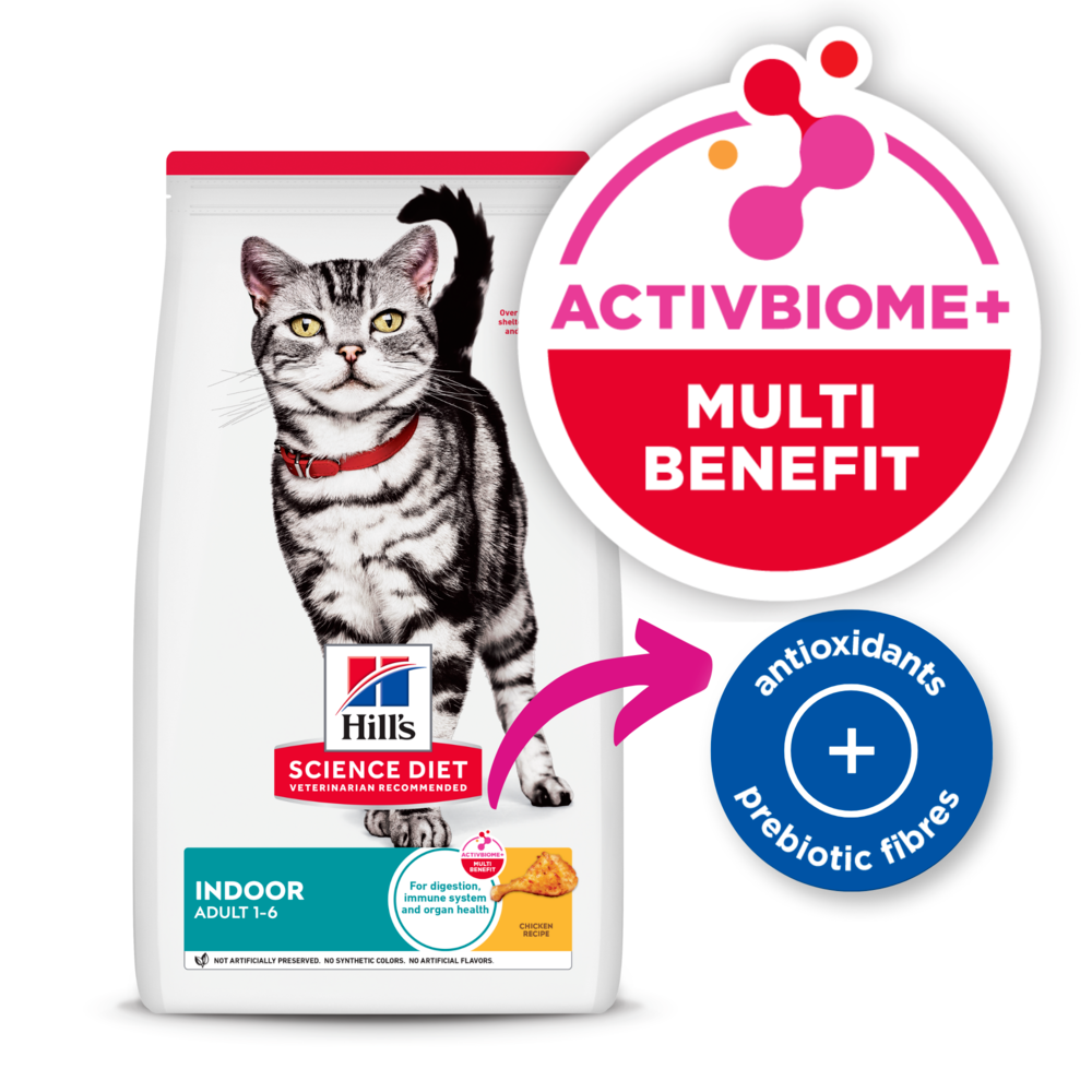 Hills Science Diet Adult Indoor Dry Cat Food