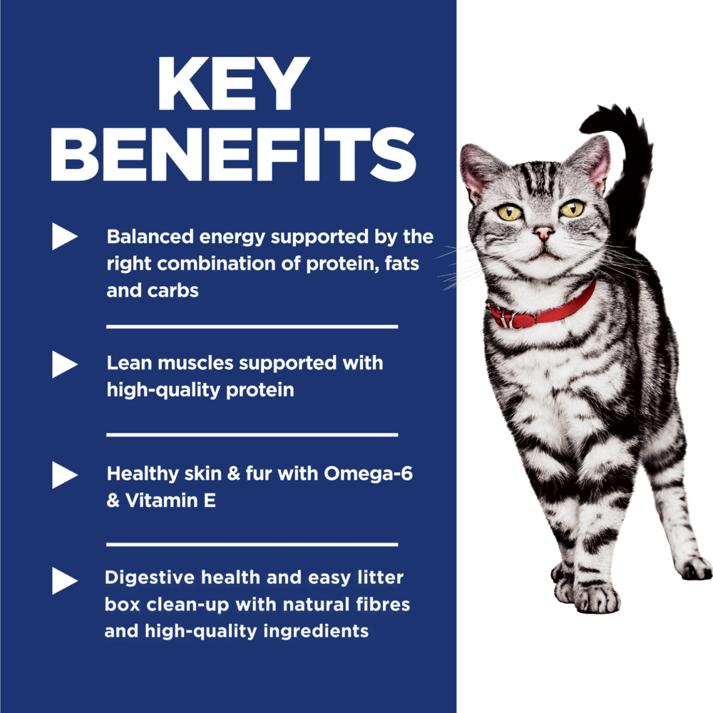 Hills Science Diet Adult Indoor Dry Cat Food