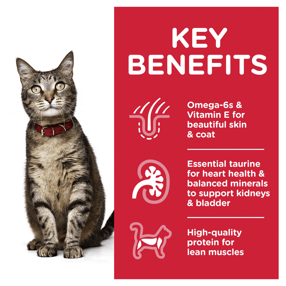 Hills Science Adult Chicken Cat Food Pouches