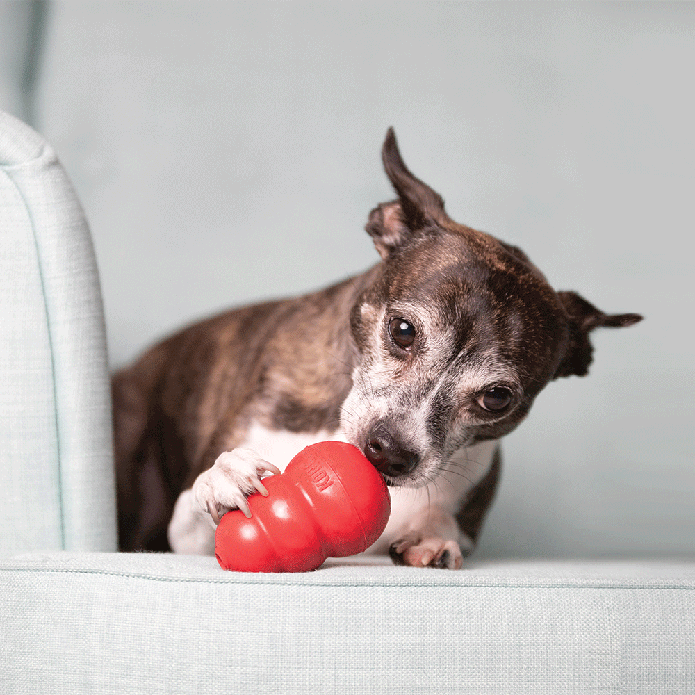 Kong Classic Dog Toy Red