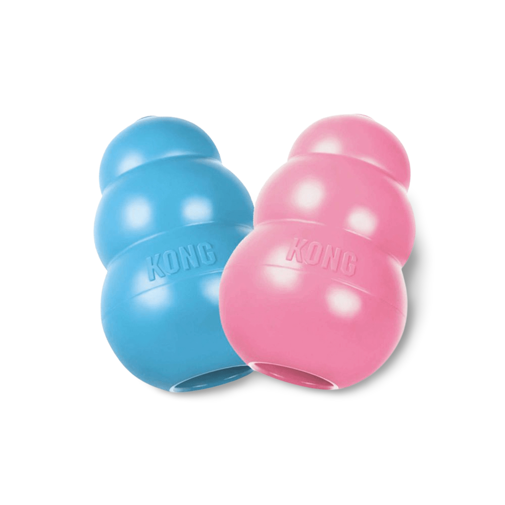 Kong Toy Puppy