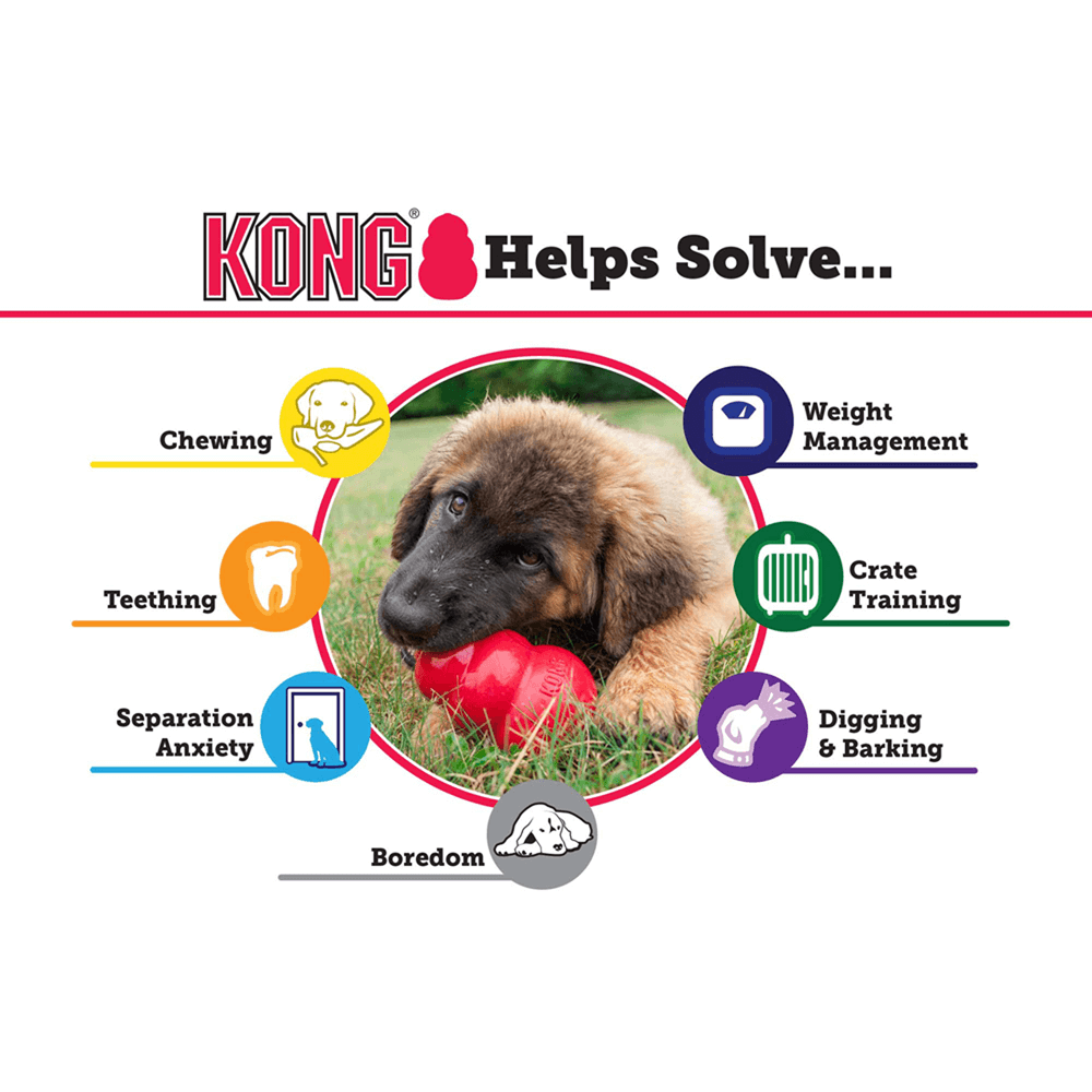 Kong Toy Puppy