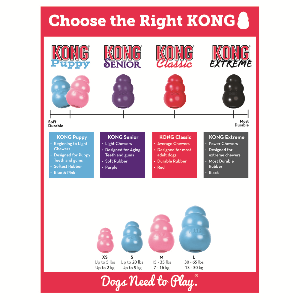 Kong Toy Puppy