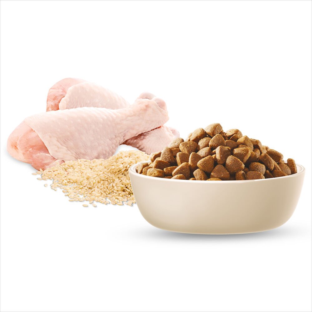 Advance Medium Adult Dry Dog Food Chicken With Rice