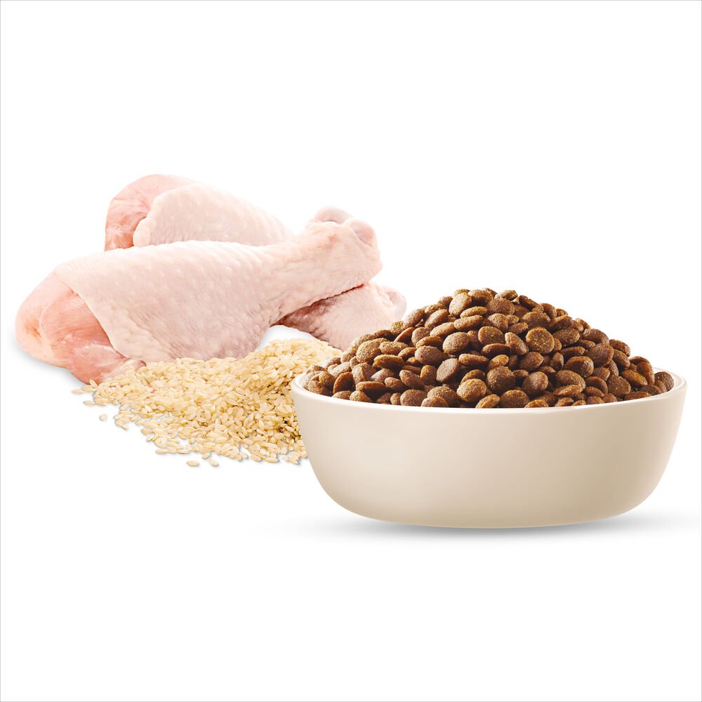 Advance Medium Puppy Dry Dog Food Chicken With Rice