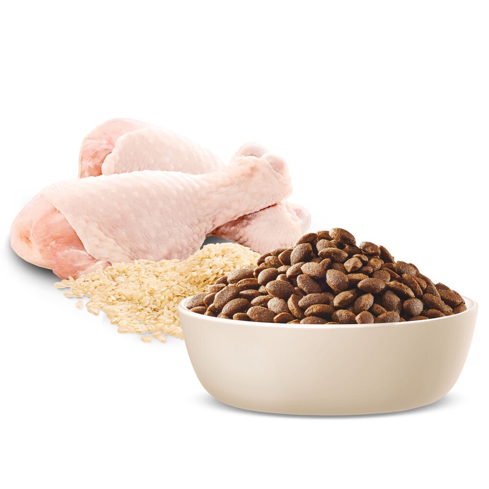 Advance Large Puppy Dry Dog Food Chicken With Rice