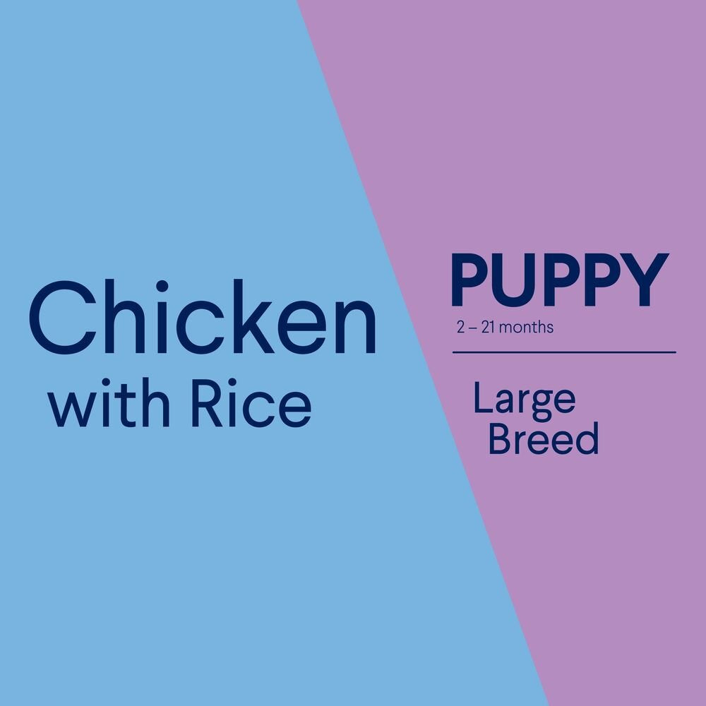 Advance Large Puppy Dry Dog Food Chicken With Rice