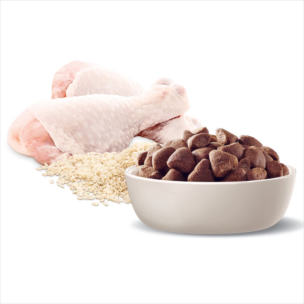 Advance Large Adult Dry Dog Food Chicken With Rice
