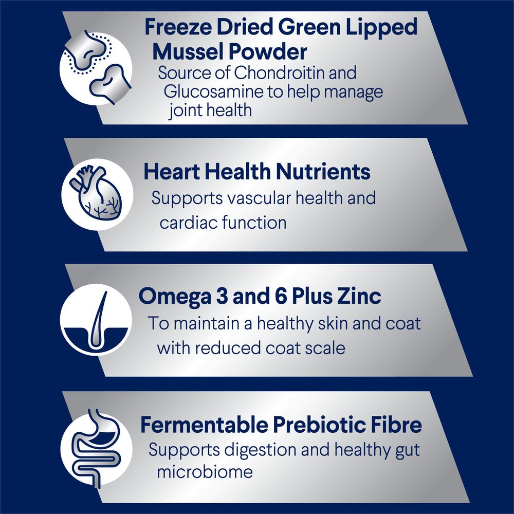 Advance Large Adult Dry Dog Food Chicken With Rice