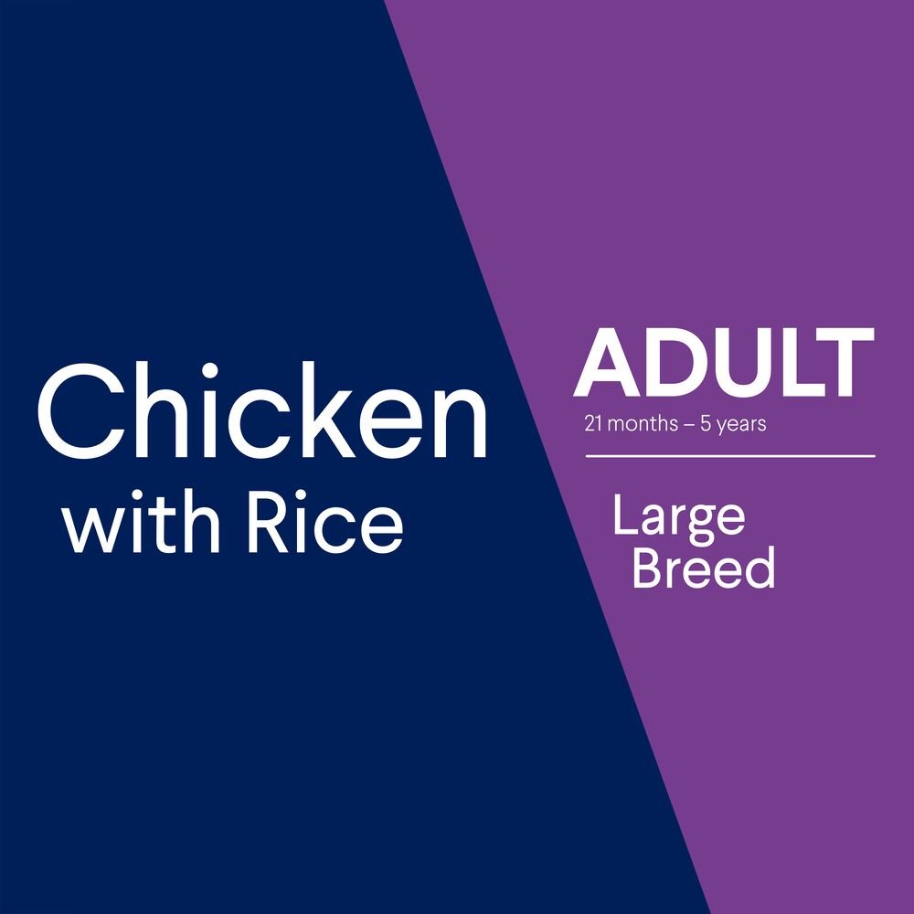 Advance Large Adult Dry Dog Food Chicken With Rice