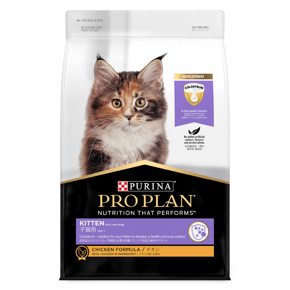 Pro Plan Kitten Dry Cat Food