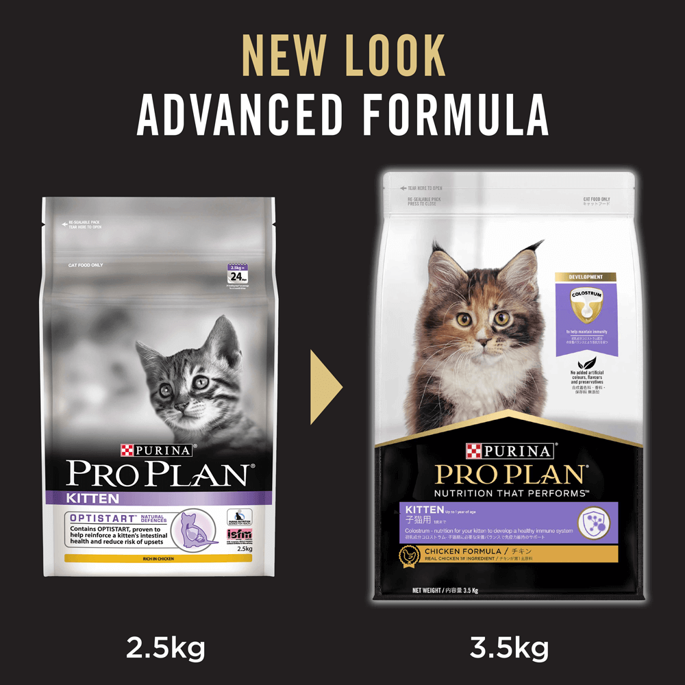 Pro Plan Kitten Dry Cat Food