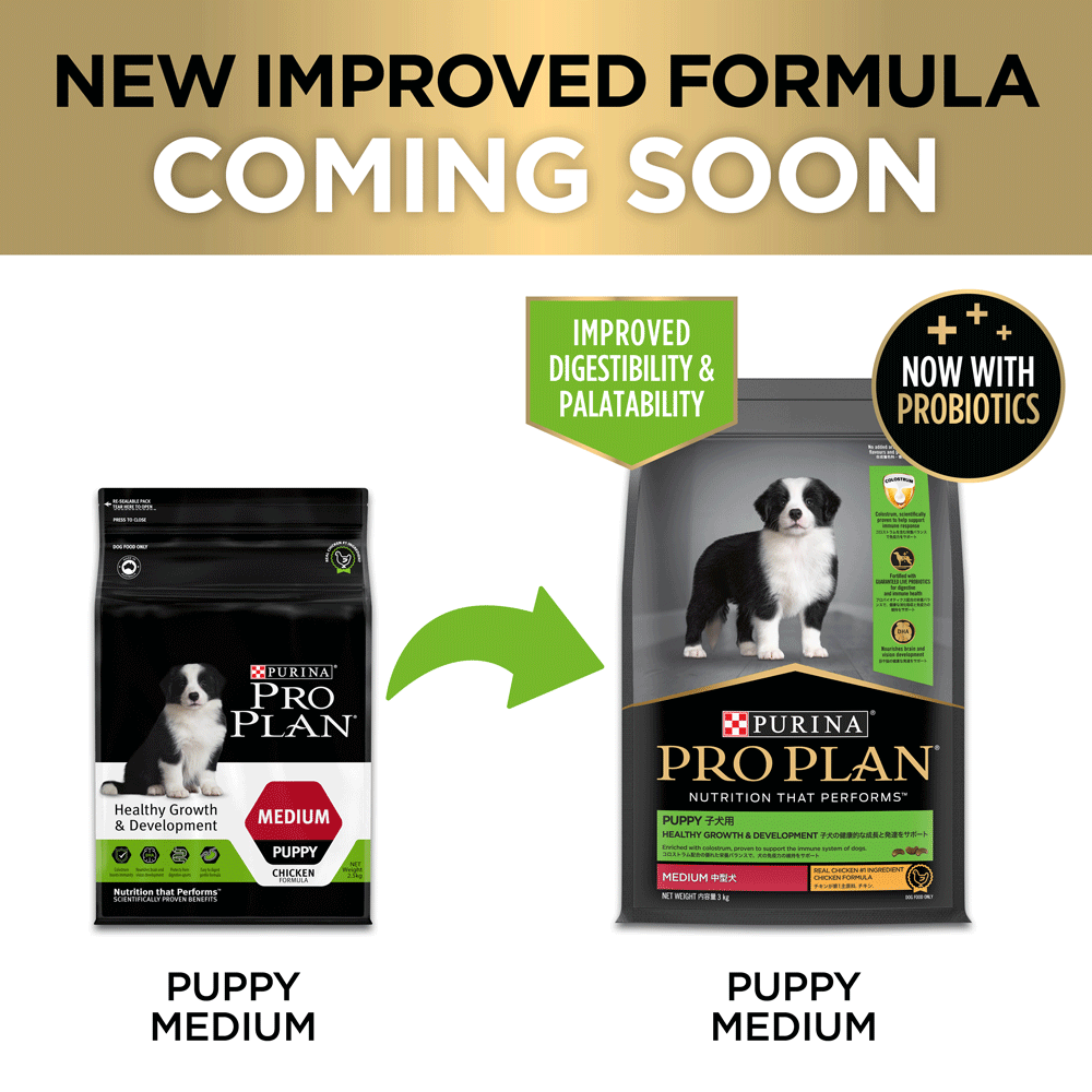 Pro Plan Chicken Medium Breed Puppy Dry Dog Food